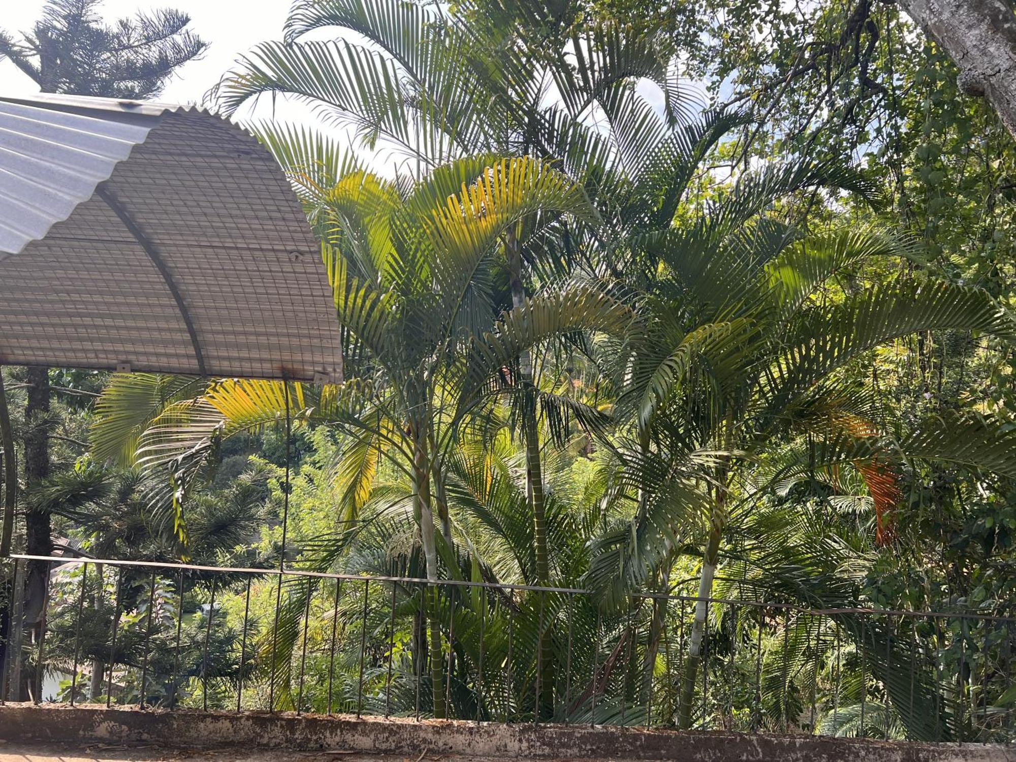 Canopy Villa Kandy Exteriör bild